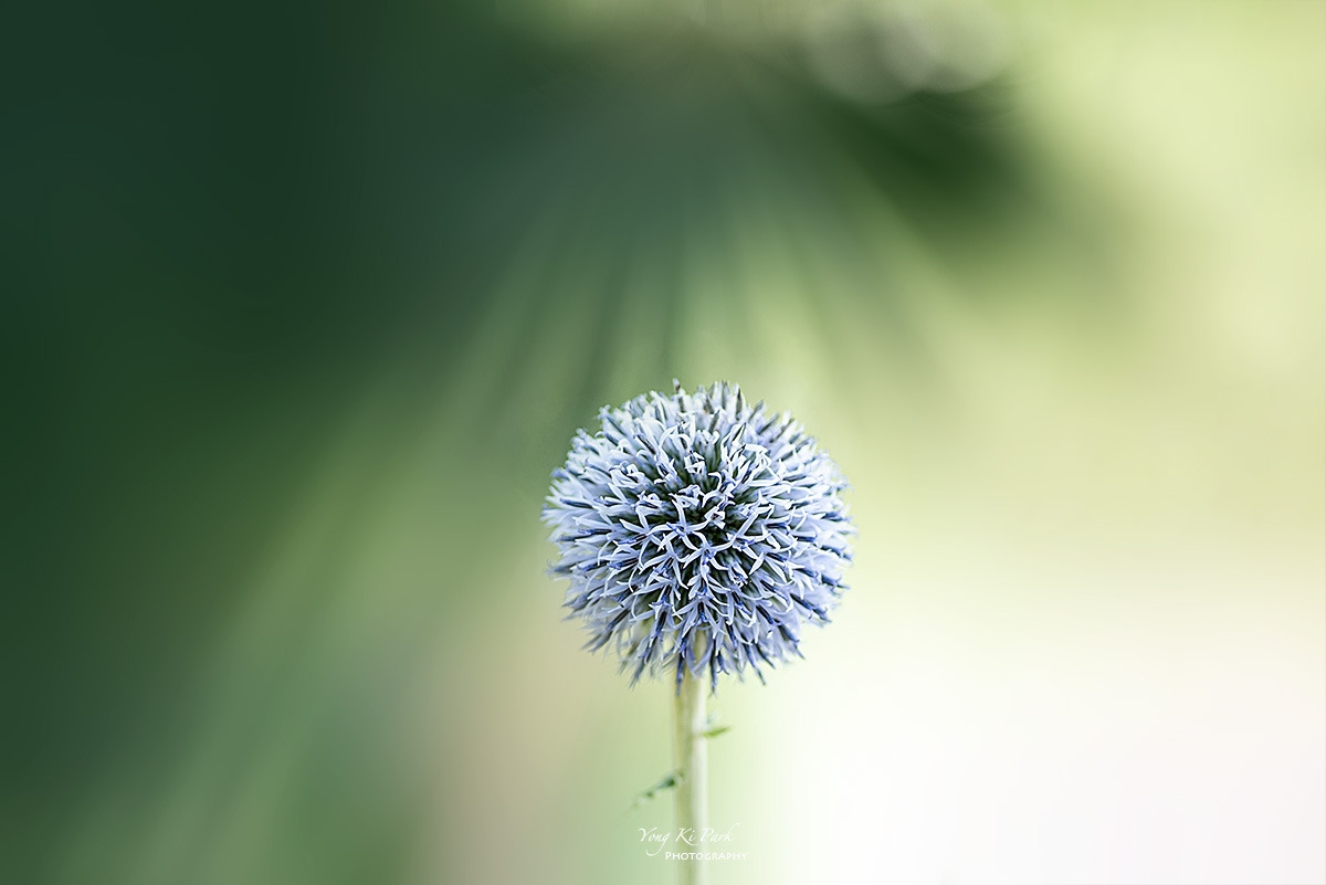 131_7926-F-m-s-On summer vacation-2.jpg