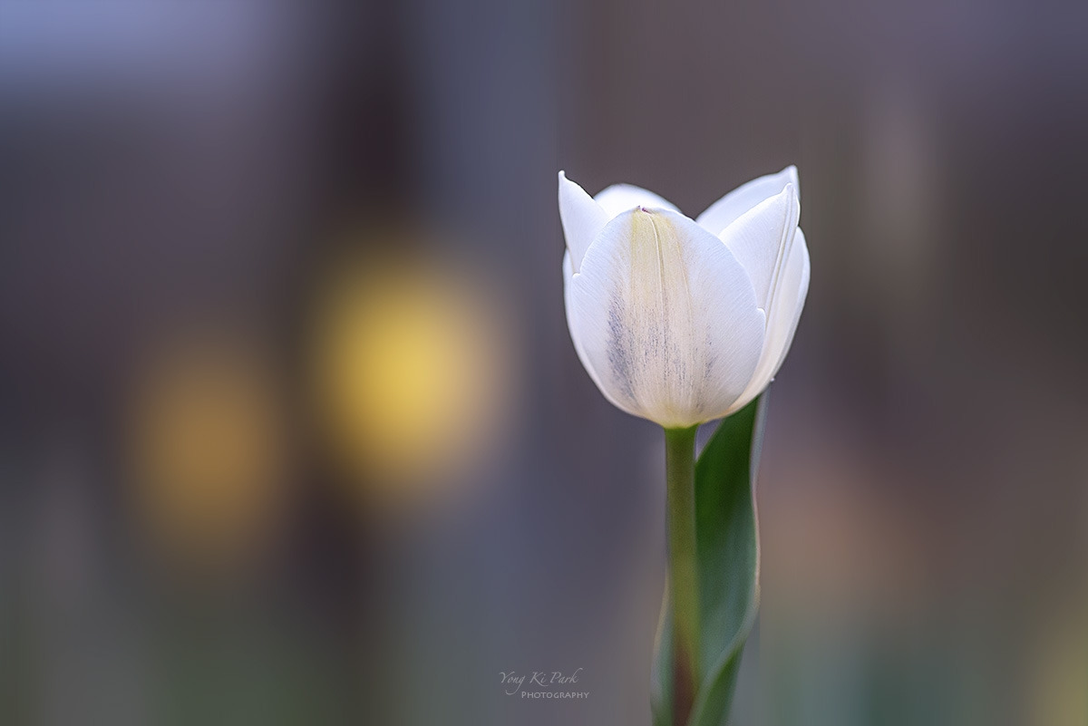 134_8679_84-st-s-Spring that came to me-32.jpg