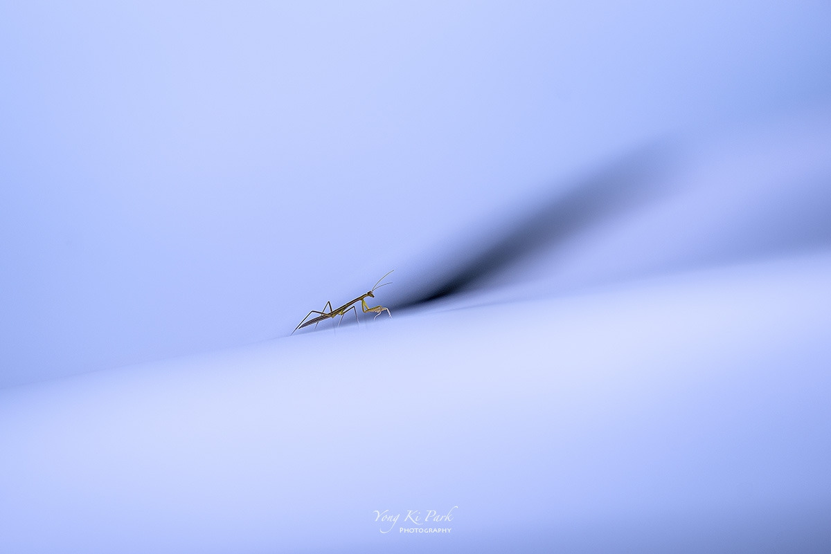 121_6273-c3-s-Made in nature-3.jpg