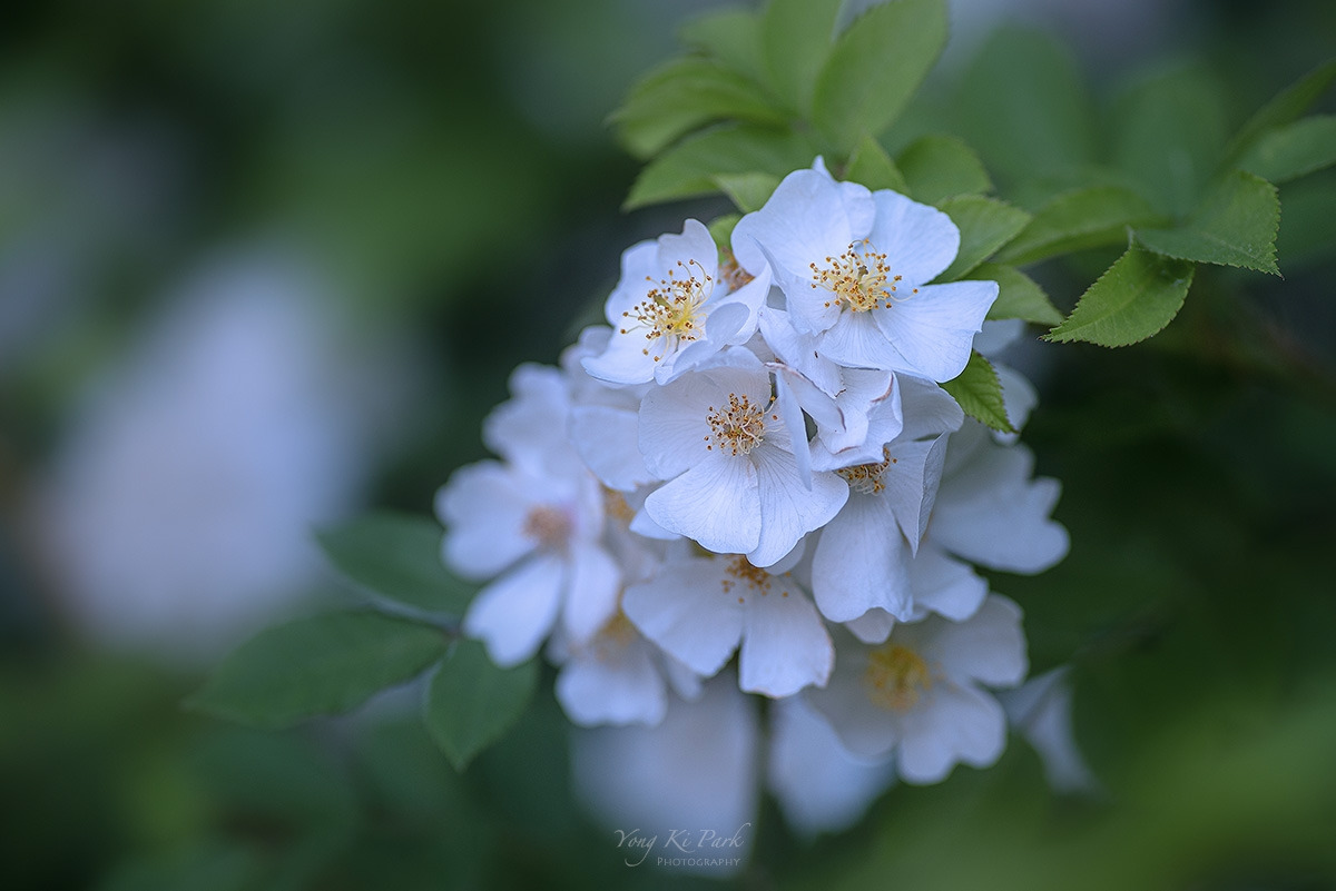 121_3791-s-Where my eyes-14.jpg