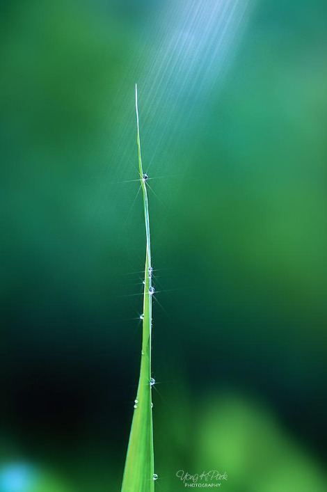 303_3735-Blessings of the morning-m2020-s.jpg