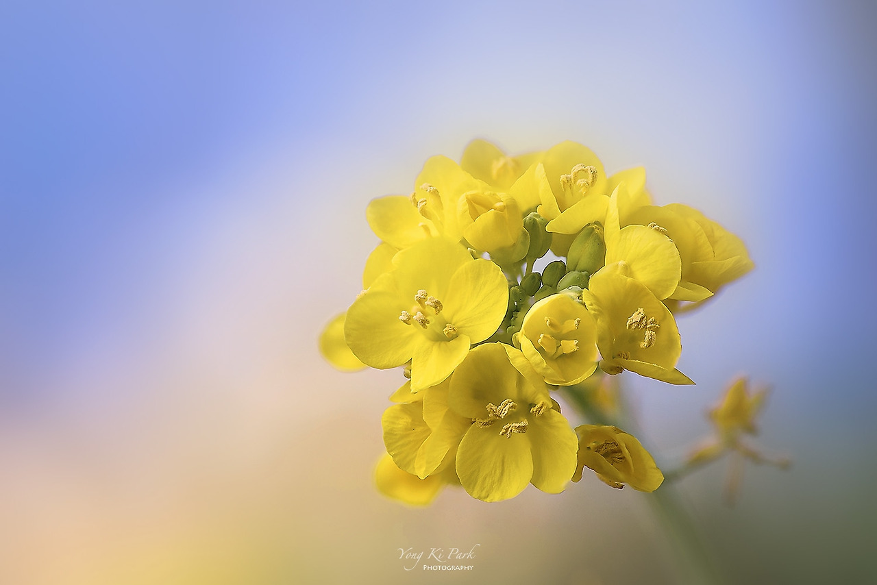 105_8524-35-st-c-2022-s-Once upon a time in spring-1.jpg