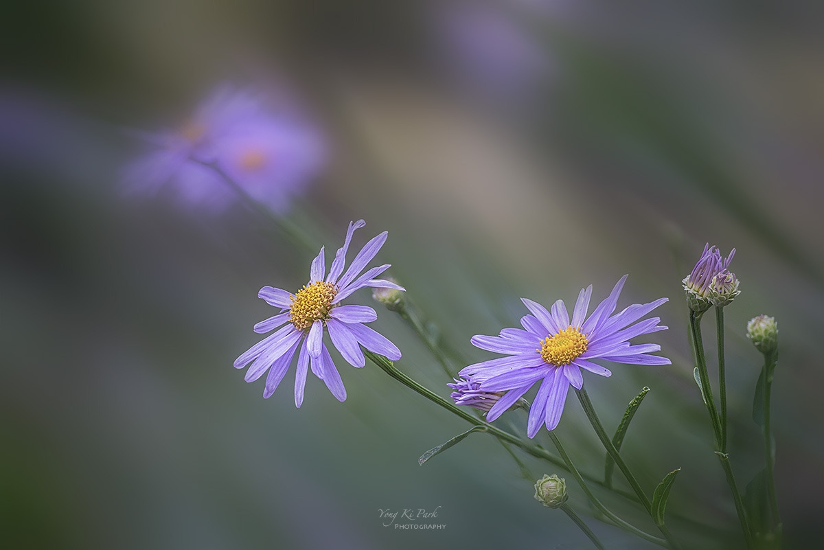 137_2872-76-st-m-s-Where the seasons meet-11.jpg