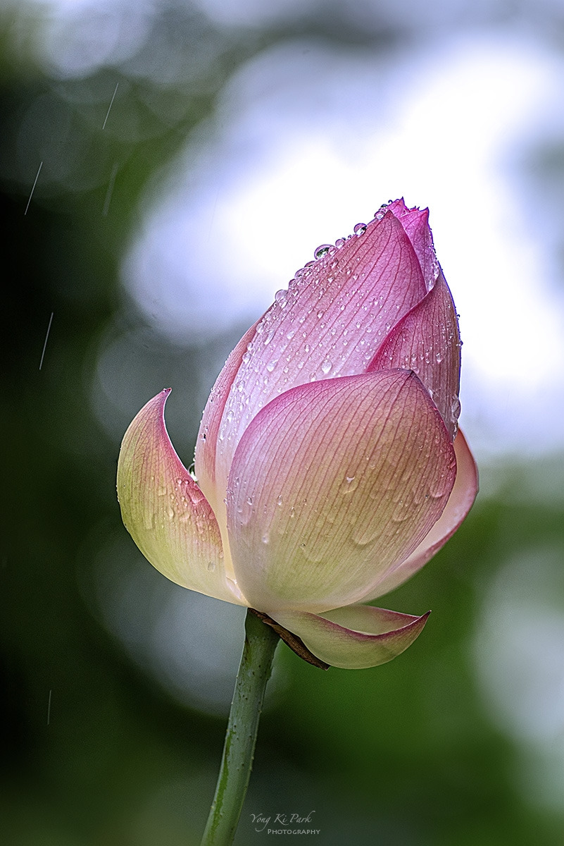 126_7541-45-st-s-2023 summer story-10.jpg