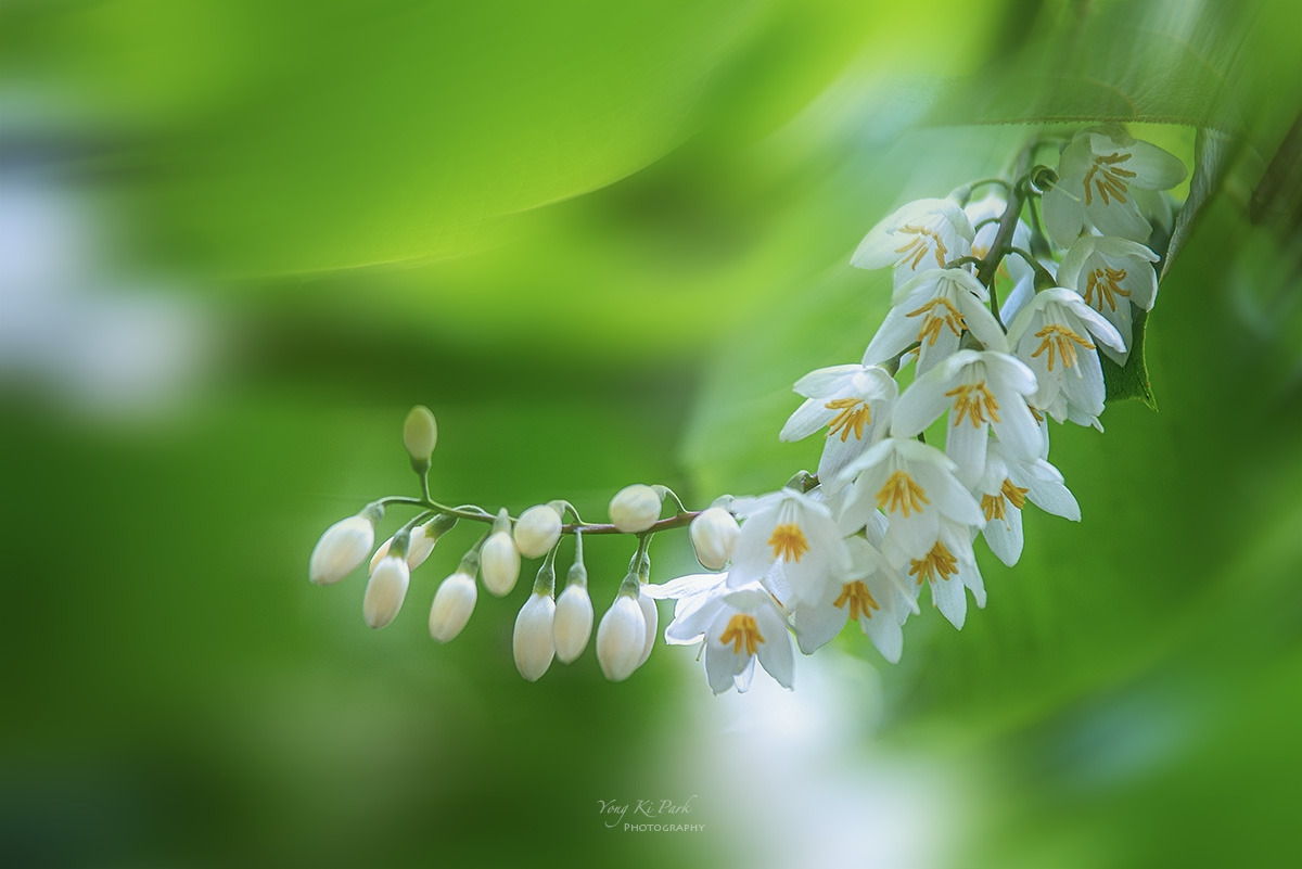 125_4567-F-m-2-s-The spring of the town-2023-10.jpg