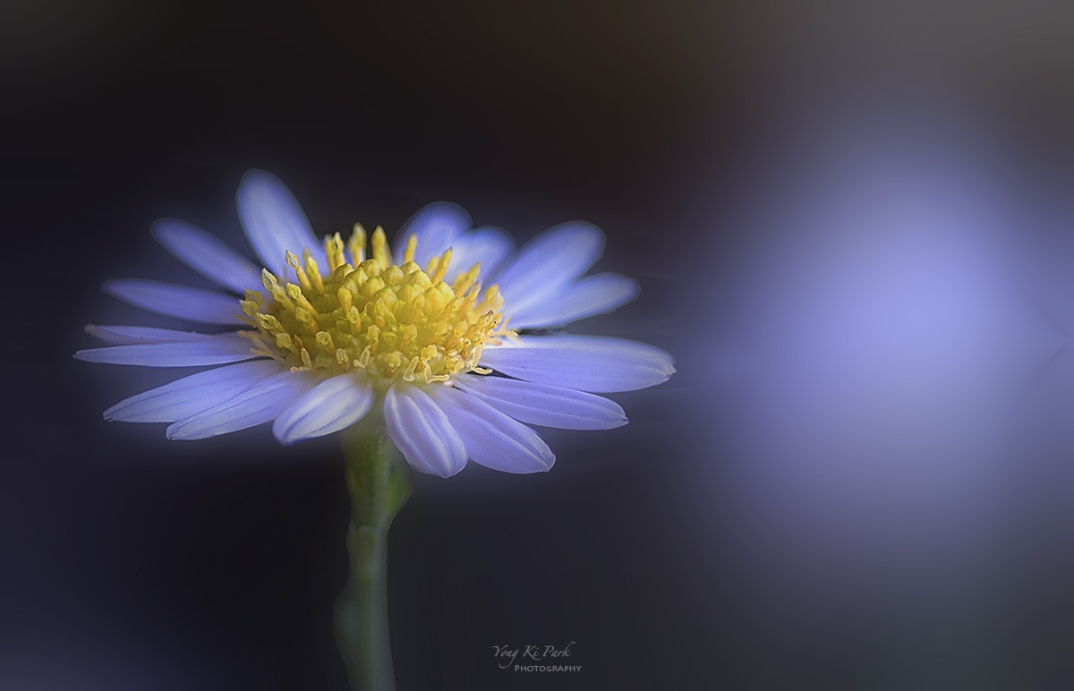 131_9657-65-st-m-s-Feelings of autumn-1.jpg