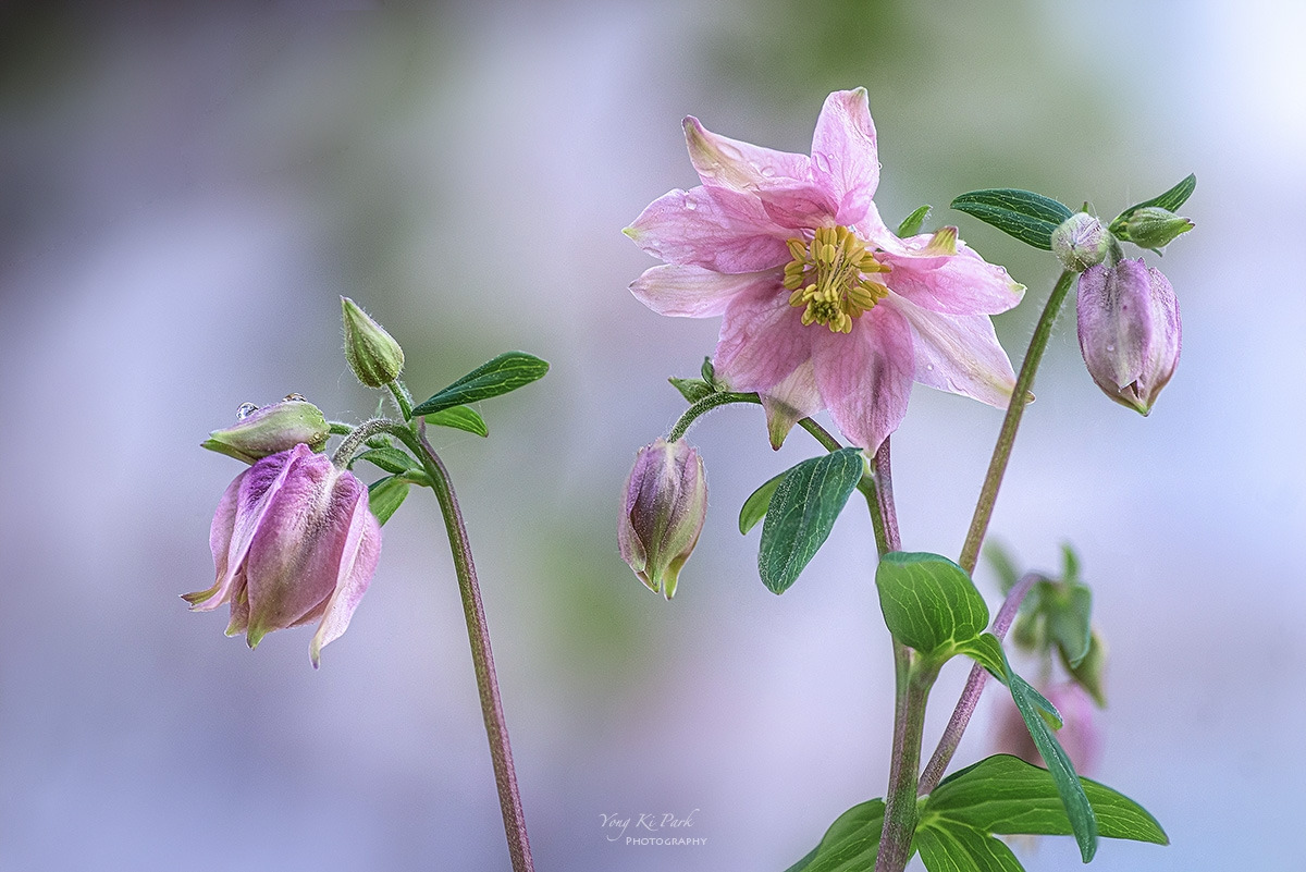 125_3426-32-st-s-The spring ot the town-2023-3-2.jpg