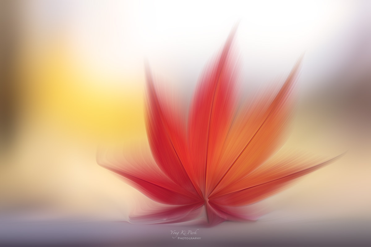 133_0685-90-st-m-s-Farewell 2024.jpg