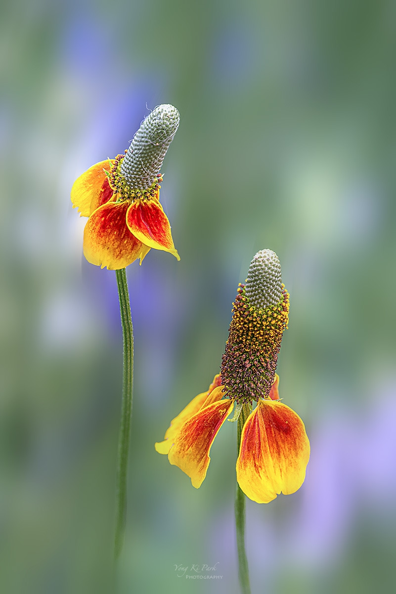 136_5843-48-st-s-Sleep in the garden-7.jpg