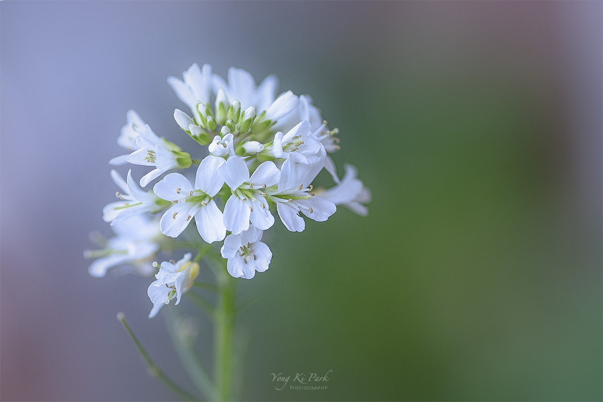 121_2647-58-st-s-Where my eyes stay-2.jpg