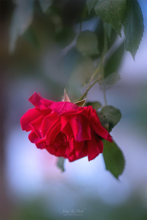 121_4517_16-st-s-Where my eyes-16.jpg