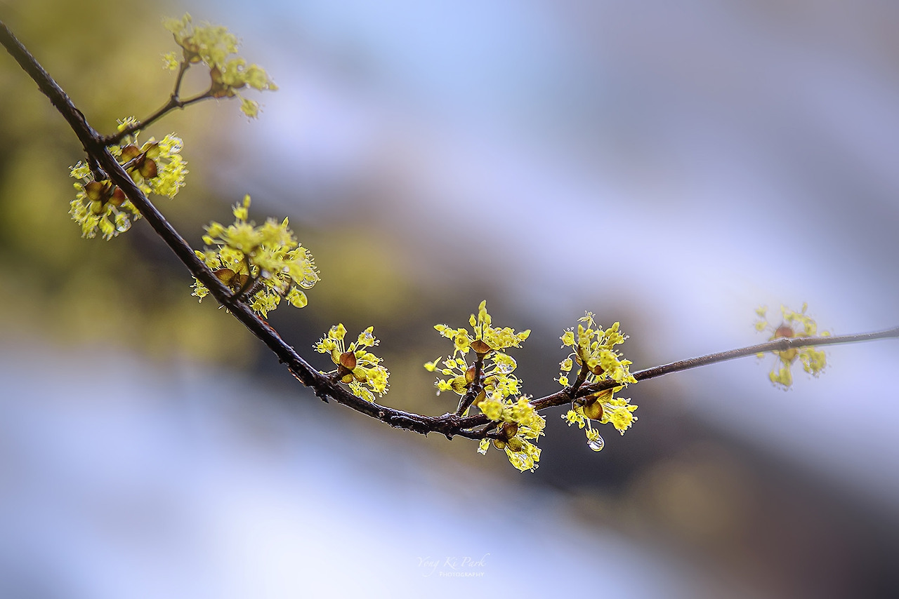 120_8139_43-st-s-It's spring-6.jpg