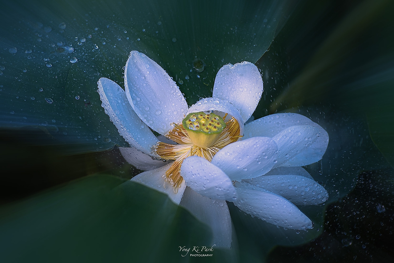 119_4870-m-s-The summer in Muju-3-3.jpg