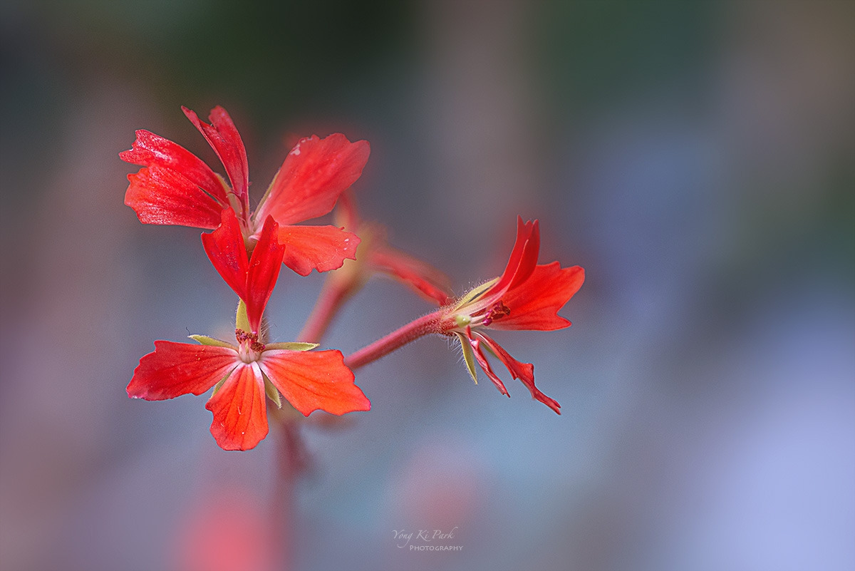 133_4851-57-st-s-Waiting for spring-2025-5.jpg