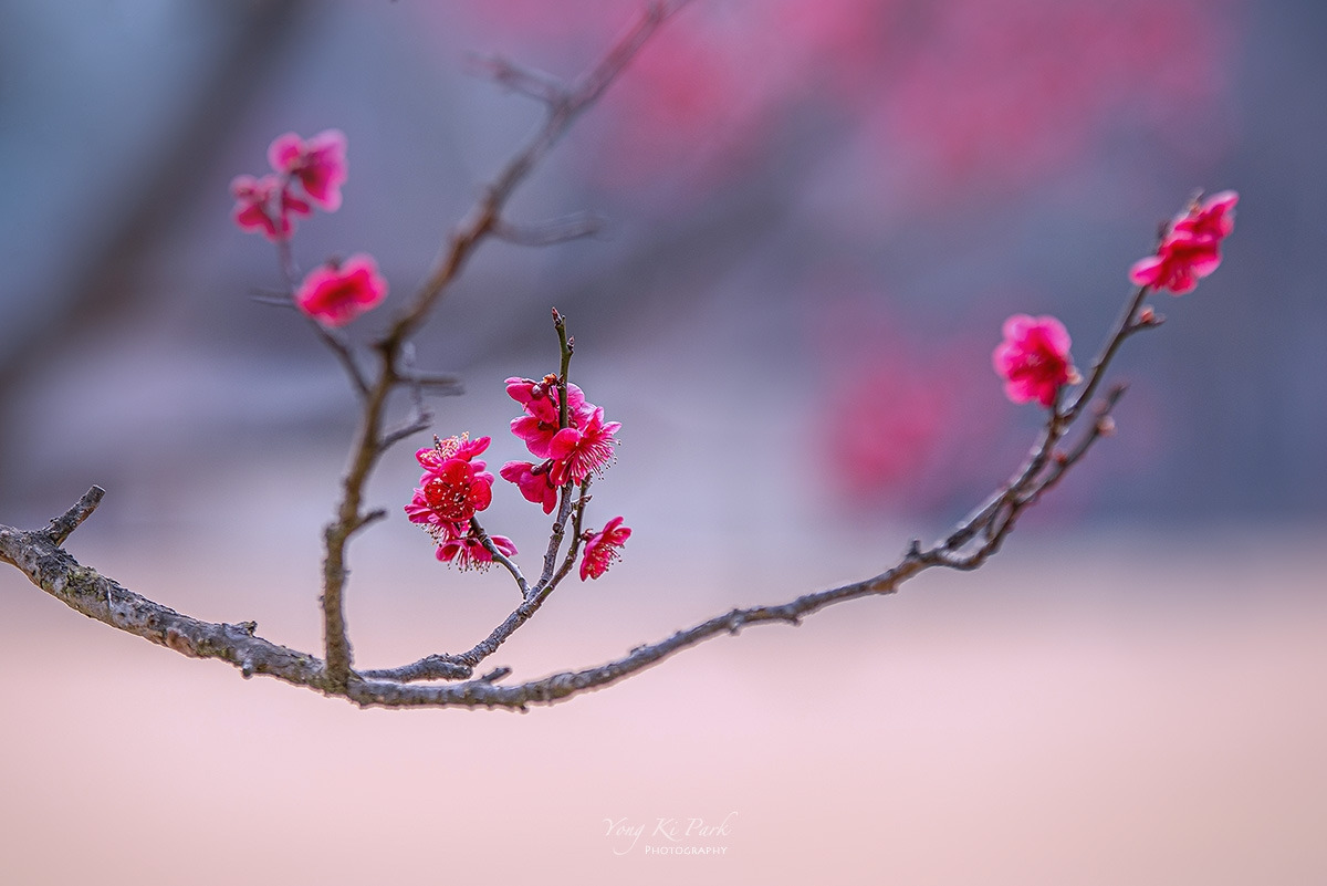 120_8899-s-At spring-2.jpg