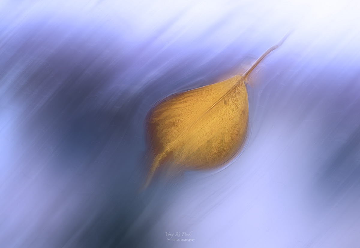 127_0640-49-st-m-s-Autumn rain-1-2.jpg