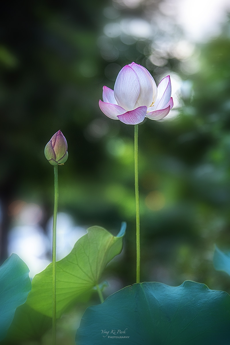 126_7390-F-s-2023 summer story-7.jpg