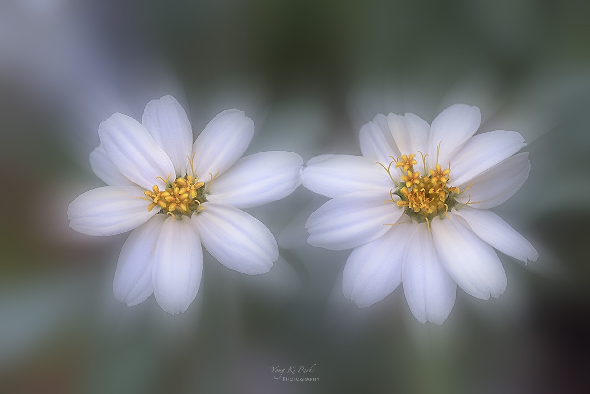 133_3180-83-st-m-1-s-Waiting for spring-2025-3.jpg