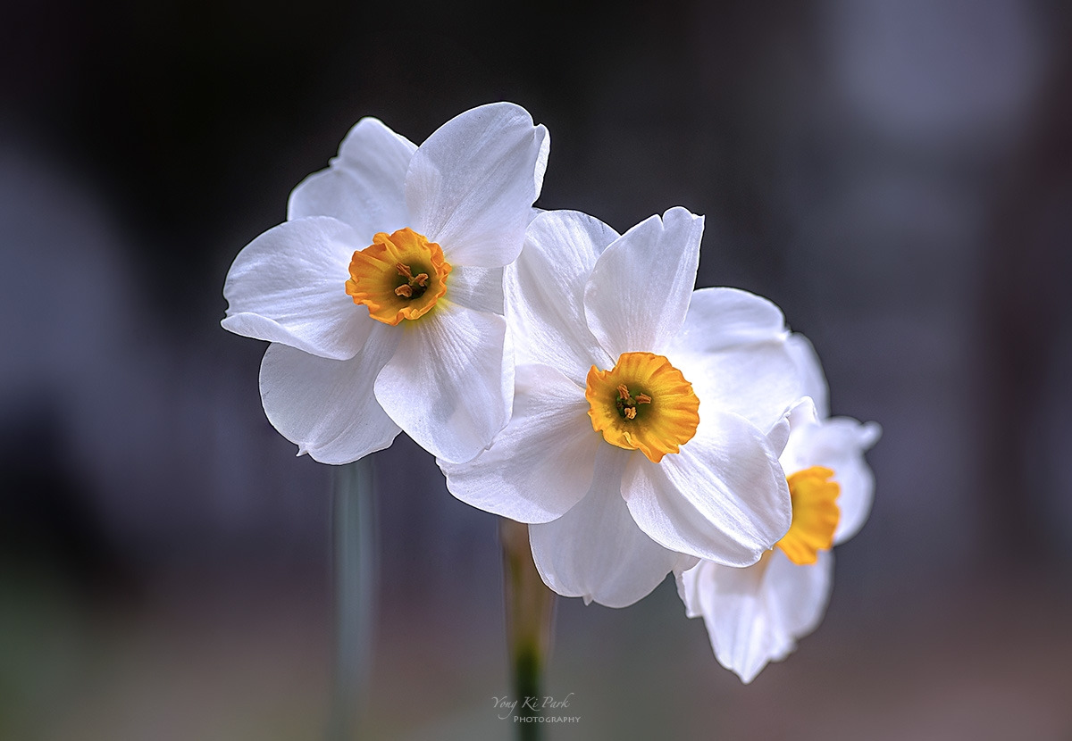 129_4853-56-st-s-Spring spring 2024-20-1.jpg