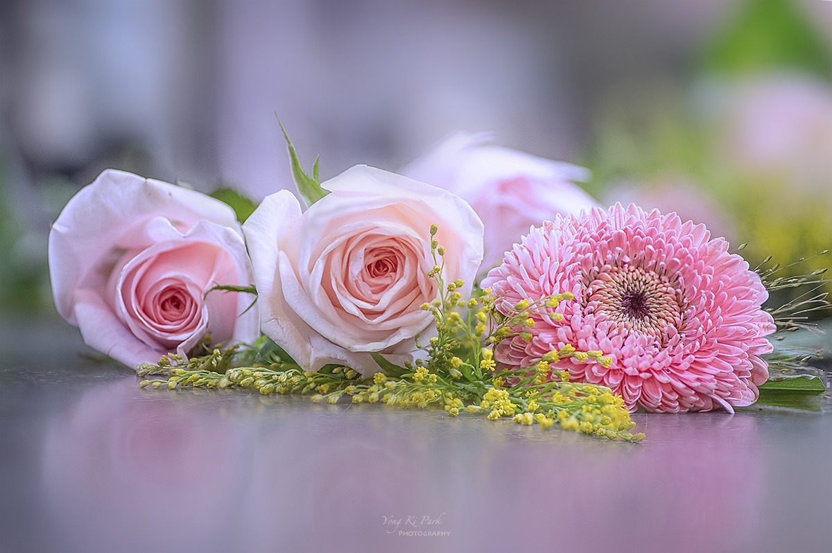 133_6301-06-st-s-Waiting for spring-2025-7.jpg