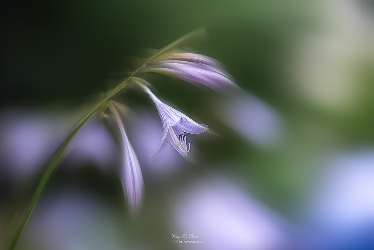 126_4195-97-st-m-s-2023 summer story-17.jpg