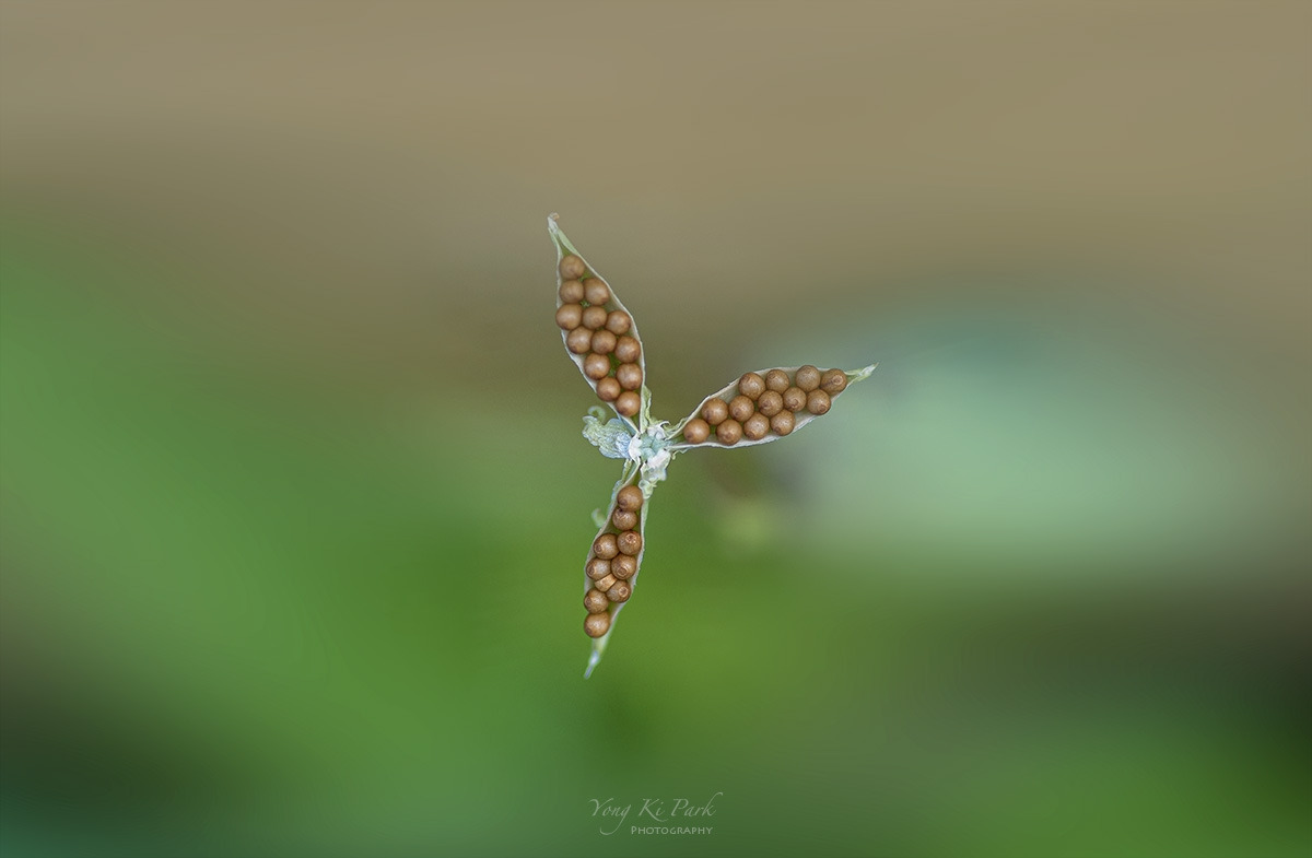 122_4197-4200-st-s-Made in nature-26-1.jpg