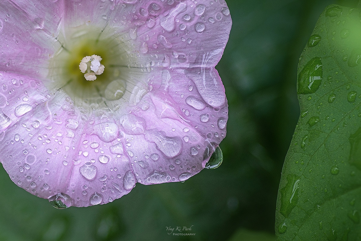 125_9683-92-st-c-s-A rainy day-4.jpg