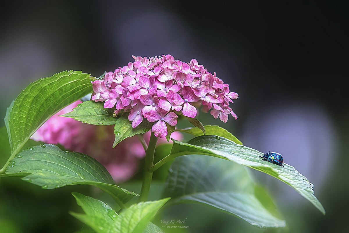 126_4126-30-st-s-2023 summer story-18.jpg