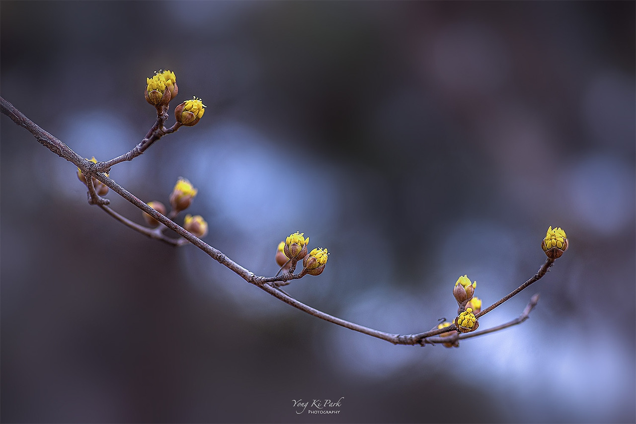 120_7592_93-st-s-s-It's spring-4.jpg