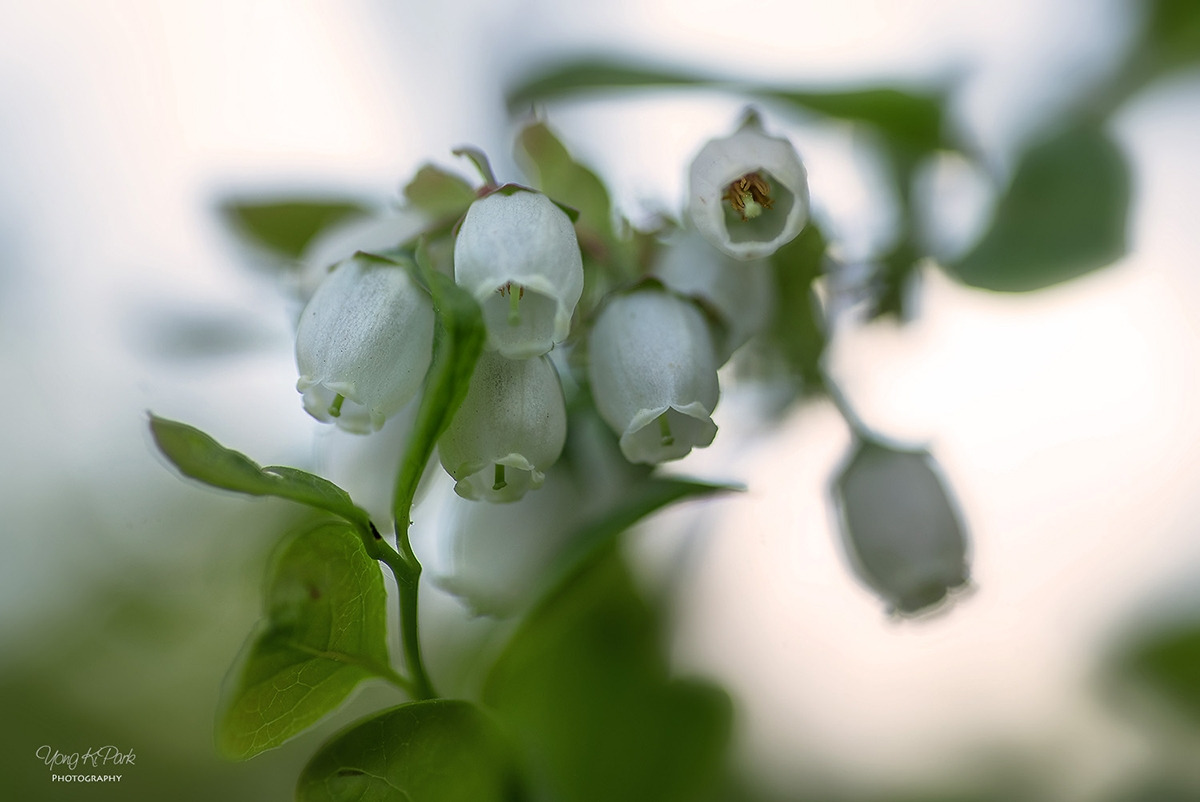 113_8048_47-st-s-AF-May 2019-6.jpg