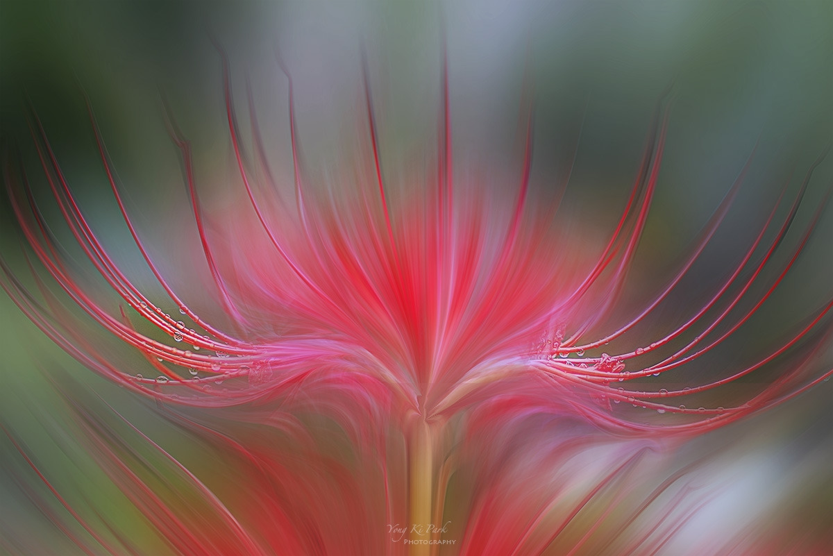 127_1033-42-st-m-c-s-When autumn knocks on the door 2023-5-1.jpg