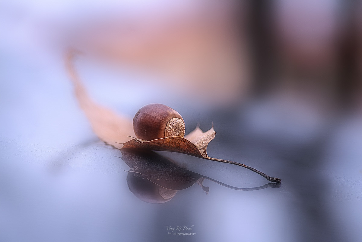 128_1273-83-st-s-On voyage-1.jpg