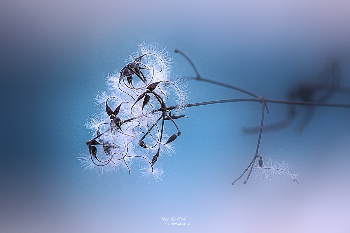 128_0244-48-st-s-Where autumn left-3.jpg