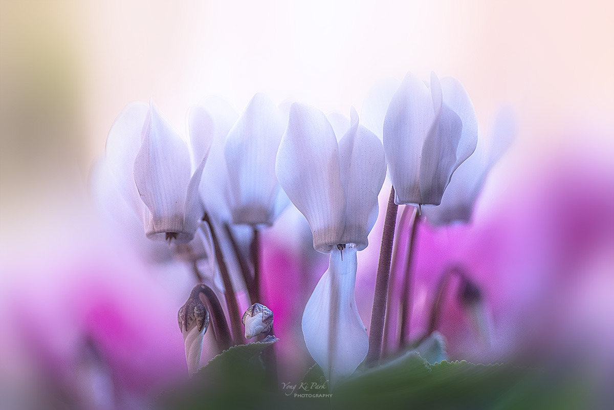 137_9692-97-st-m-s-At the end of the year-2.jpg