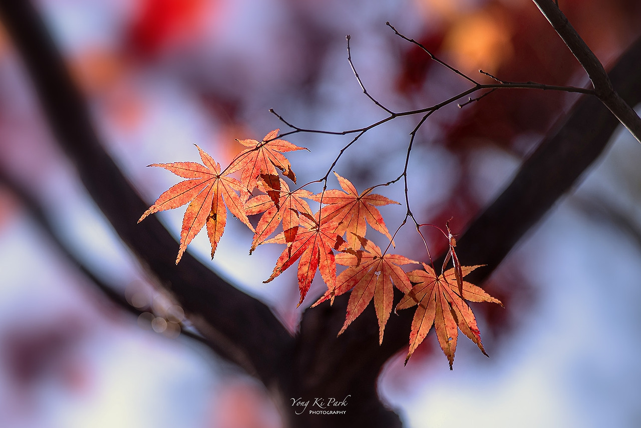 120_1244-s-Autumn 2021-10.jpg