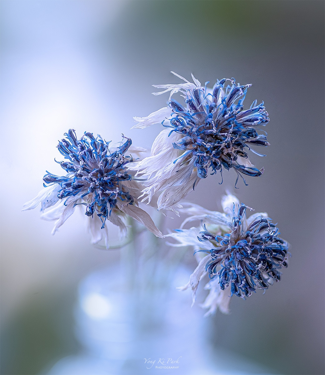 121_5046-58-st-c-s-Before and after-3.jpg