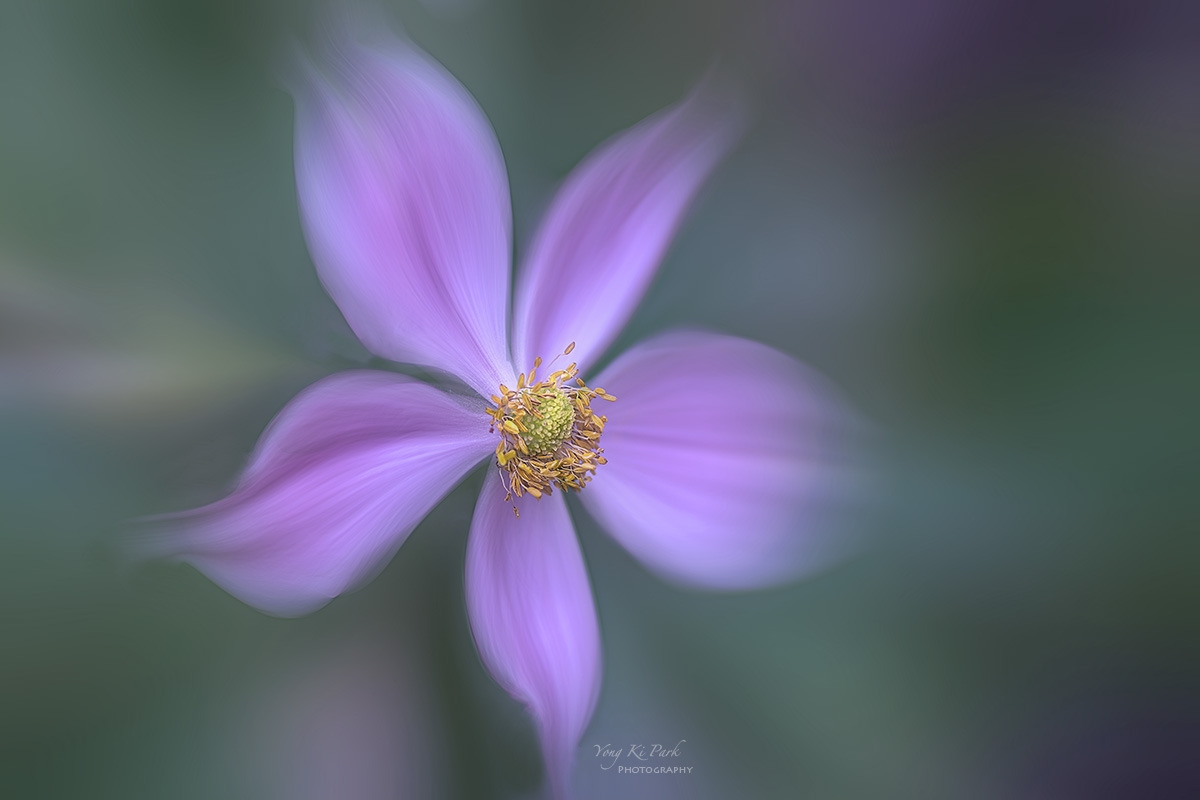 132_6137-45-st-m-s-A poem of autumn-19.jpg