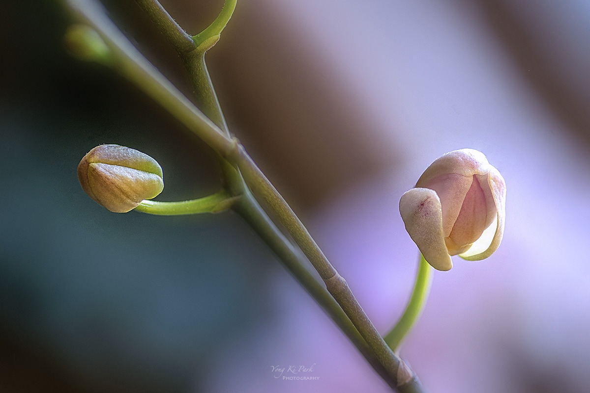 133_8266-72-st-s-Waiting for spring-2025-9.jpg