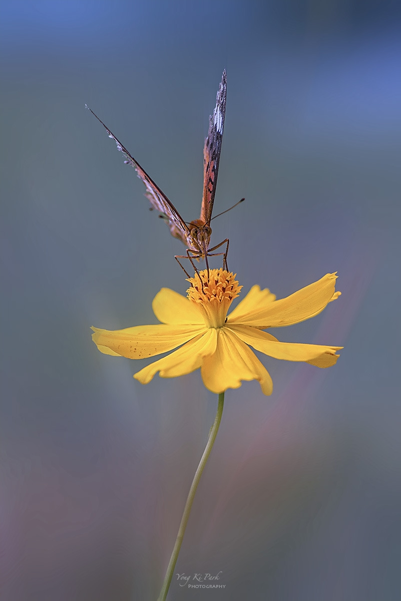 131_8897-F-m-s-Feeling of autumn-7.jpg