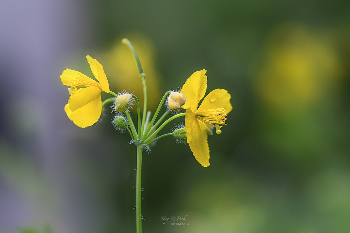 125_3479-82-st-s-The spring of the town-2023-16.jpg