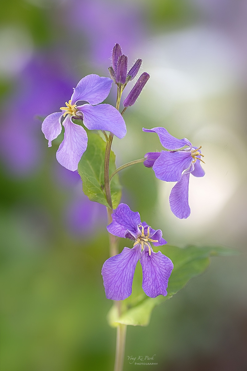 129_2885-92-st-s-Spring spring 2024-19.jpg