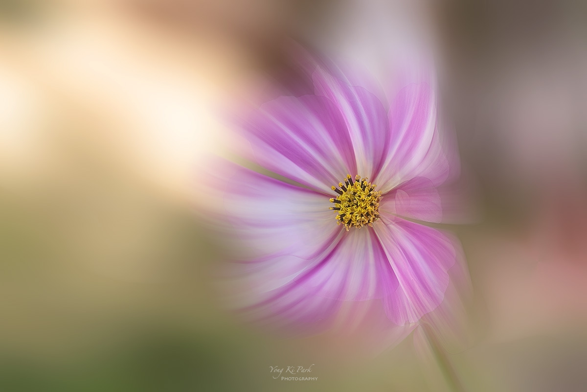 132_8556-60-st-c-m-Touch of autumn-2024-4.jpg