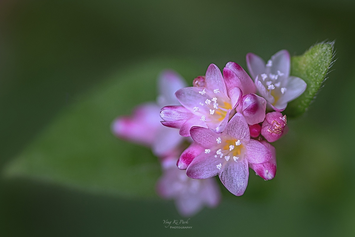 132_2760-66-st-c-Feelings of autumn-14.jpg