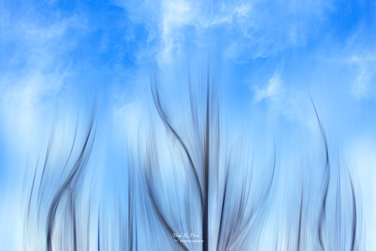 138_1802-F-s-Winter Reflections-9.jpg