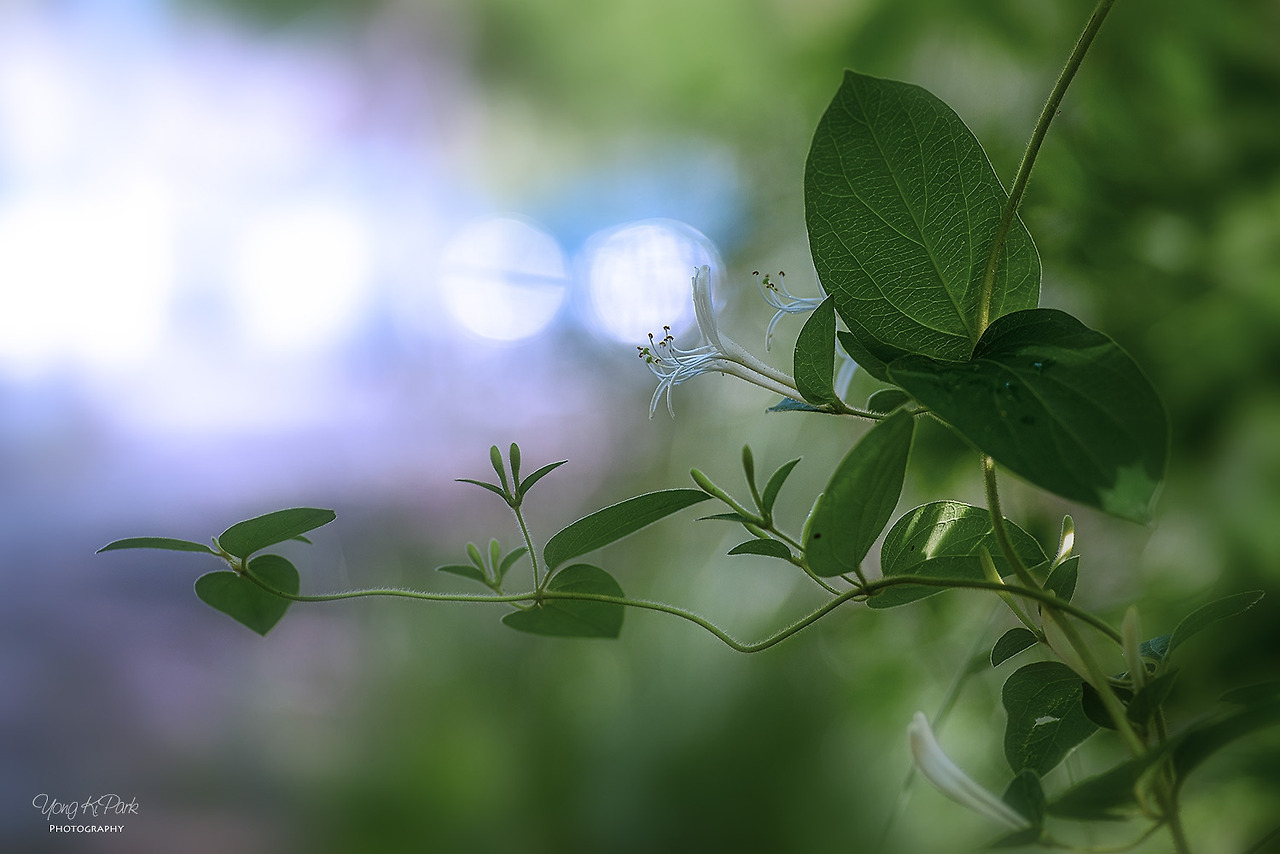 117_2042-s-I knew that I love you-4.jpg