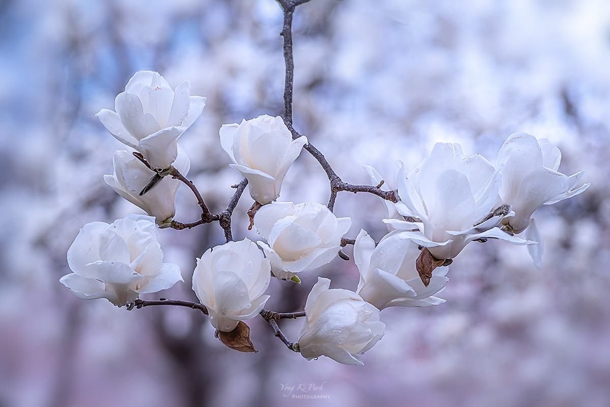 129_1315-18-st-s-Spring spring 2024-8.jpg