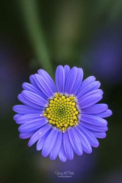 115_2953_51-st-m-s-A precious moment of autumn-17.jpg