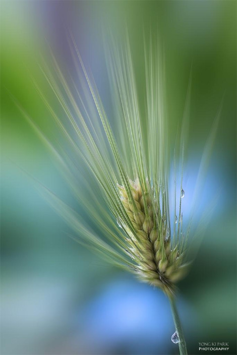 107_0869-73-st-m-s-AF-Memory of those days(2017).jpg