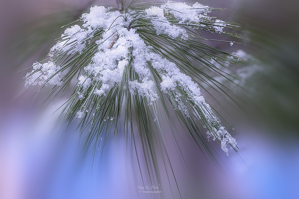 128_3304-09-st-m-2-s-Winter morning-14.jpg