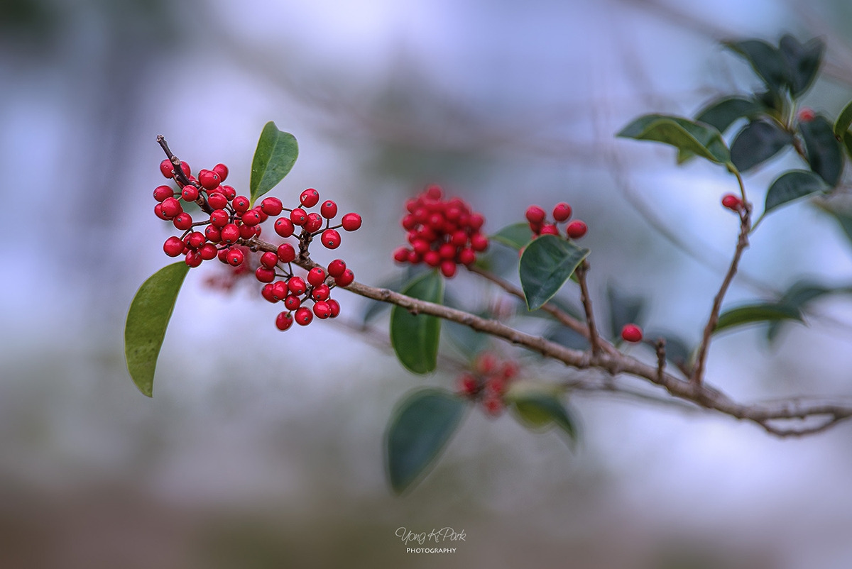 118_2437-s-AF-November of Jeju Island-8.jpg